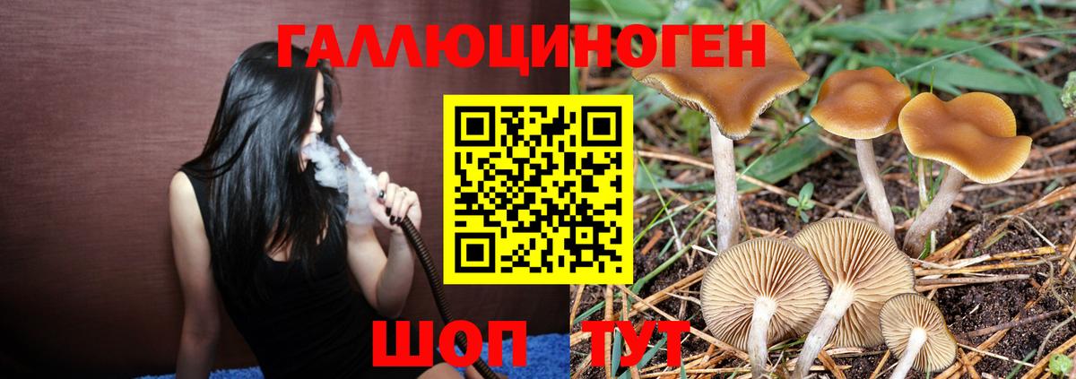 Псилоцибиновые грибы мухоморы  Вход с VPN  Гудермес 