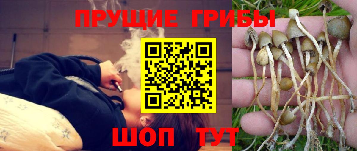 Галлюциногенные грибы Magic Shrooms Гудермес